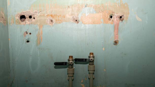 Best Commercial water damage restoration  in Heflin, AL